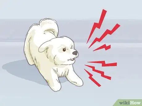 Image titled Look After Pets During Fireworks Step 14
