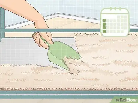 Image titled Prevent Your Guinea Pig from Becoming Sick Step 19