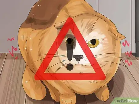 Image titled Dye Your Pet Step 16
