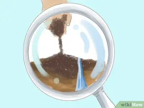 Image titled Plant Bradford Pear Trees Step 2