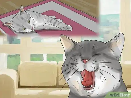 Image titled Help Your Cat Enjoy Having a Bath Step 12