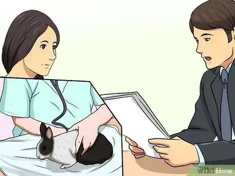 Image titled Diagnose Wry Neck in Rabbits Step 7