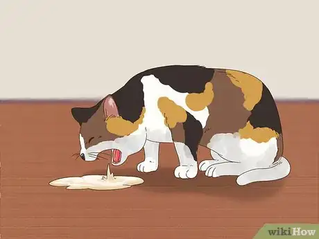 Image titled Diagnose and Treat Zinc Poisoning in Cats Step 1