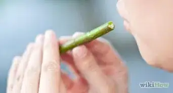 Make a Willow Whistle