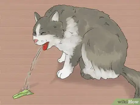 Image titled Handle Mothball Poisoning in Cats Step 1