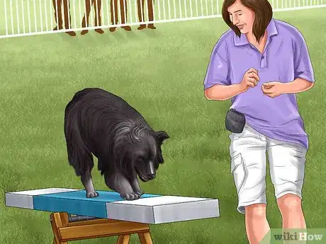 Image titled Keep an Indoor Dog Active Step 11