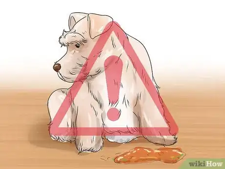 Image titled Diagnose Diabetes in Miniature Schnauzers Step 10