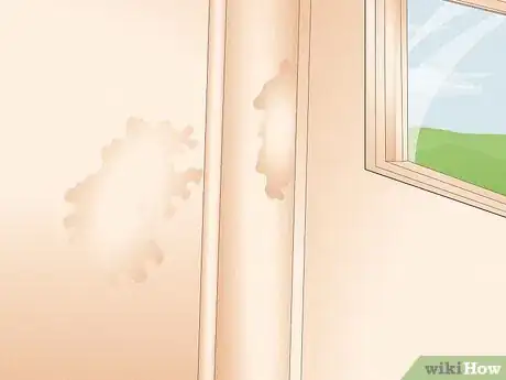 Image titled Check the Garden Shed for Leaks Step 4