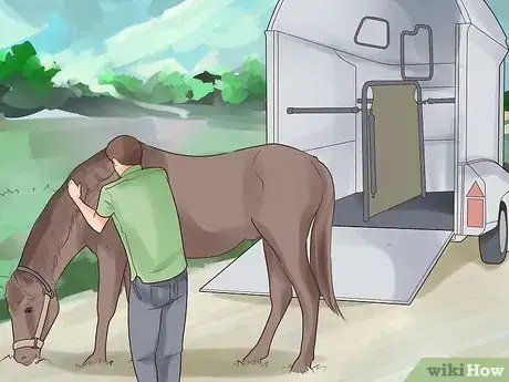 Image titled Trailer a Horse Step 17