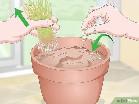 Image titled Make a Grass Pot for Cats Step 13