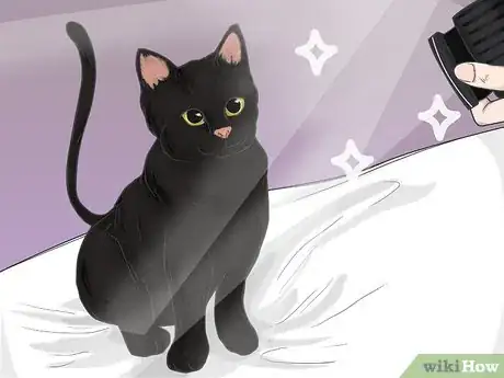 Image titled Photograph Pets Step 2