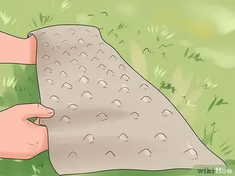 Image titled Prevent Cats from Pooping in the Garden Step 4