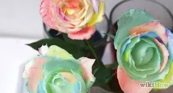 Dye Dried Roses