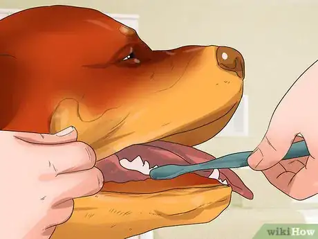 Image titled Treat Canine Periodontal Disease Step 10