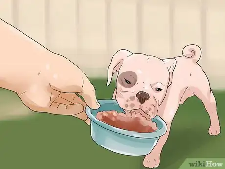 Image titled Tell if a Dog Is Getting Food Aggression Step 10