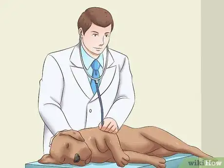 Image titled Tame a Dog Step 2