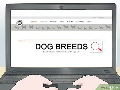 Image titled Avoid Crossbreeding As a Dog Breeder Step 4