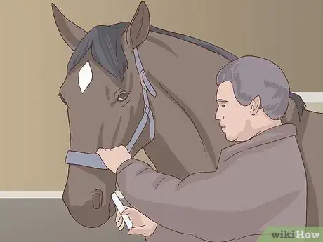 Image titled Walk a Colicking Horse Step 16