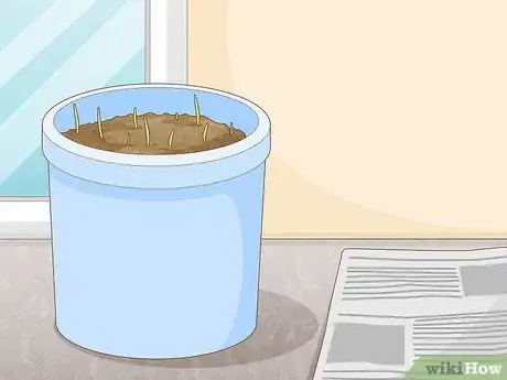 Image titled Grow Chives Indoors Step 7