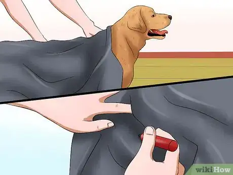Image titled Make a Plastic Bag Poncho for Your Dog Step 6