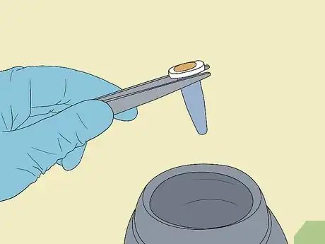 Image titled Improve Embryo Implantation Step 14