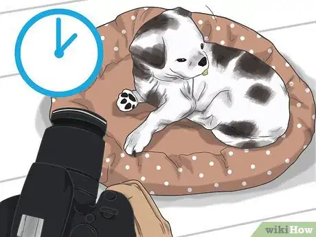 Image titled Photograph Pets Step 11