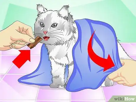Image titled Give Cats Liquid Medicine Step 11