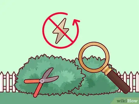 Image titled Do Basic Dormant Season Pruning Step 9