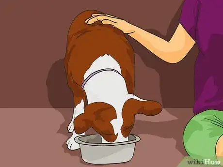 Image titled Handle Holiday Travel with Your Pet Step 17