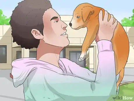 Image titled Train a Dog to Respond to Voice Commands Step 1