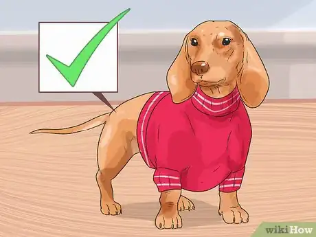 Image titled Give Your Dog a Make Over Step 14
