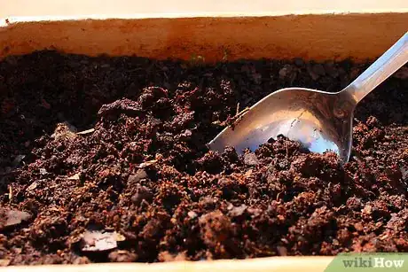 Image titled Strike a Lavender Cutting Step 3