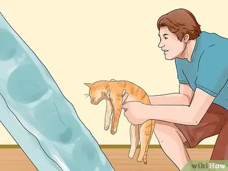 Image titled Teach a Cat to Climb a Ladder Step 6
