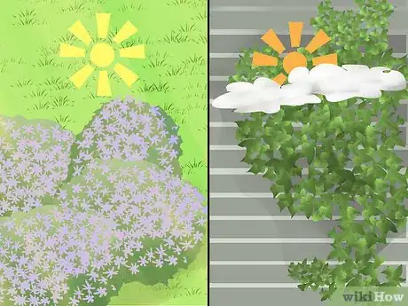 Image titled Replace Your Lawn with Groundcovers Step 2