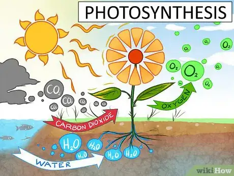 Image titled Study the Chemistry of Water Step 1