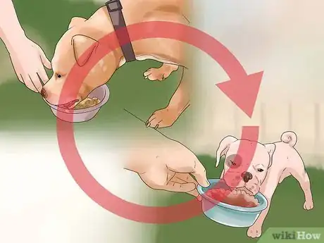 Image titled Tell if a Dog Is Getting Food Aggression Step 11
