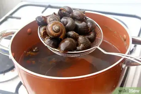 Image titled Prepare Escargot Step 5
