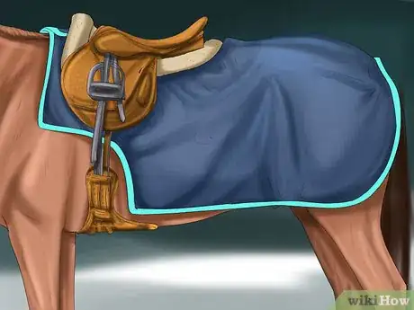 Image titled Care for Your Horse In the Winter Step 19