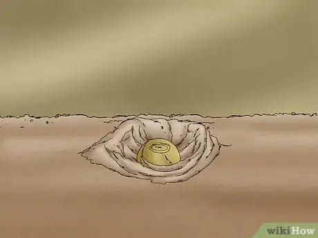 Image titled Propagate Daffodils Step 4