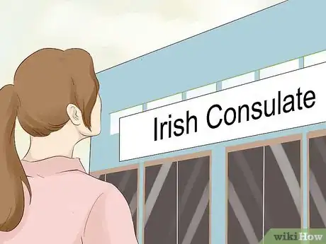 Image titled Obtain an Irish Passport Step 7.jpeg