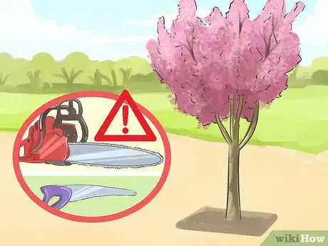 Image titled Prune a Crabapple Tree Step 10