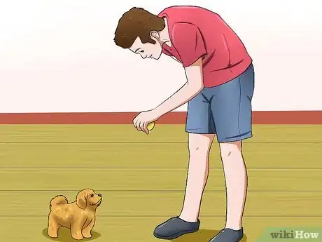 Image titled Care for Maltipoos Step 17