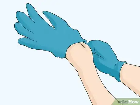 Image titled Prevent Rain Rot in Horses Step 7