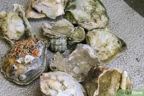 Image titled Cook Oysters Step 18
