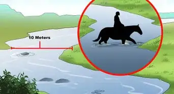 Train a Horse to Walk Through Water
