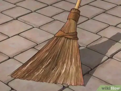 Image titled Get Rid of Boxelder Bugs Step 2