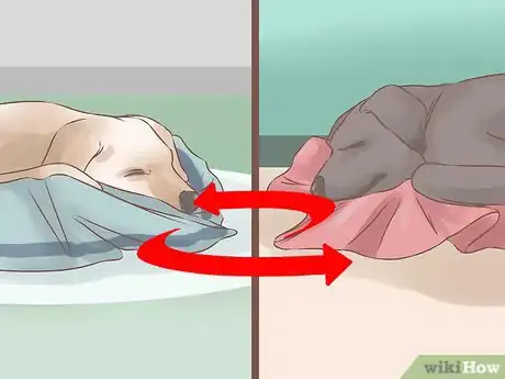 Image titled Acclimate Two Dogs Step 1