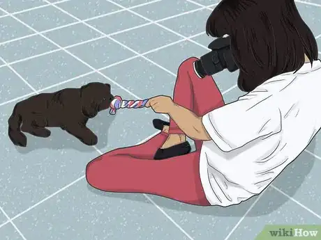 Image titled Photograph Pets Step 13