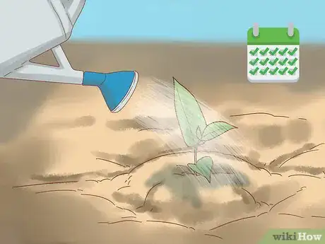 Image titled Plant Jackfruit Step 13