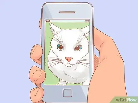 Image titled Keep Your Cat Safe on Independence Day Step 3